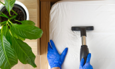 Очищаем дом от пылевых клещей — жёсткие, но действенные методы