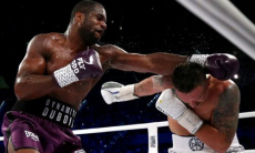 «Попадает по башке». Названа интрига реванша Усик — Дюбуа