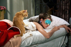 Почему кошки чаще спят с женщинами, а не с мужчинами — объяснение зоопсихологов