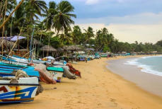 Такого не было 20 лет. В азиатской стране зафиксирована сильнейшая вспышка лихорадки