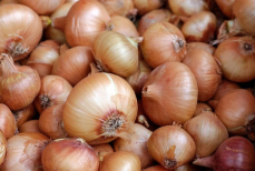 Лук будет крупным и сочным — простой рецепт подкормки, который может сделать каждый