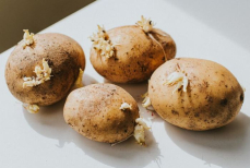 Картофель будет свежим и не будет прорастать четыре месяца, если хранить его в необычном месте