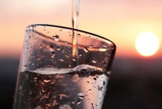 Названы самые полезные напитки для красоты и здоровья