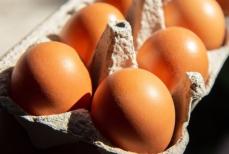 Можно ли хранить яйца в заводской упаковке