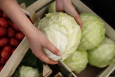 Ученые назвали продукт, который защищает от рака толстой кишки