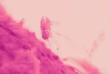 Солнце впервые рассмотрели с рекордным разрешением