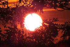 Казахстанцы пережили один из самых жарких апрелей