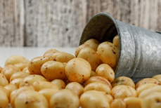 Картошка дорожает — власти раскрыли причины