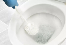 Учёный назвал идеальное средство для чистки унитаза — будет сиять 24/7 без химикатов. Никакого хлора и «Белизны»