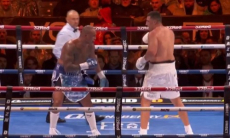 Бой непобеждённых супертяжей за титул чемпиона WBA завершился нокаутом после камбэка. Видео