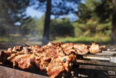 Главный диетолог Москвы назвала безопасную порцию шашлыка