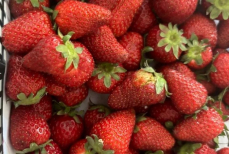 Эксперт объяснил, как за пять минут избавить клубнику от опасных паразитов-аскарид