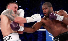 Впервые назван фантастический гонорар реванша Усик — Дюбуа