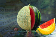 Сколько стоят арбузы и дыни в Казахстане