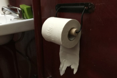 Какой стороной правильно вешать туалетную бумагу — ученые поставили точку в вопросе
