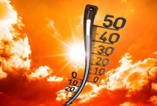 Аномальная жара до 46 °C в Казахстане — чего категорически нельзя делать в такую погоду 