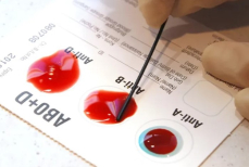 Единственная группа крови, у которой имеется таинственный код