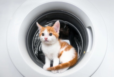 Единственная вещь, которую ни в коем случае нельзя стирать в машинке — эксперты предупреждают