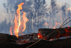 Пожароопасный сезон — МЧС призывает к осторожности