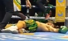 Зверским нокаутом с одного удара завершился бой в весе Алимханулы. Видео