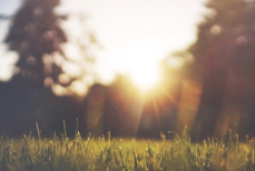 Климат на грани — углеродный лимит земли может быть исчерпан уже через три года