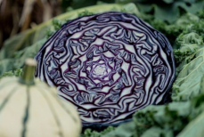 Этот дешевый продукт из магазина защитит сердце и снизит холестерин