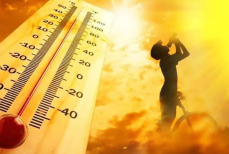 «60-градусная жара ожидается в Казахстане» — слухи или правда, комментарий синоптиков