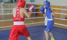 Казахстан разгромил Узбекистан на международном турнире по боксу