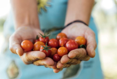 Можно ли есть овощи и фрукты с огорода без мытья? Это важно знать всем