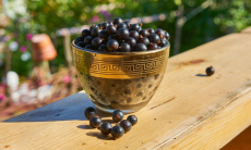 Пять причин полюбить черную смородину, если ты женщина — ешь ее прямо с куста