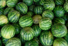 Эти арбузы есть нельзя. Признаки, указывающие на опасность для здоровья