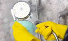 Народное средство. Душевая лейка будет как новая
