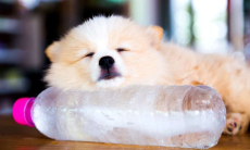 Стало известно, как возраст влияет на переносимость жары