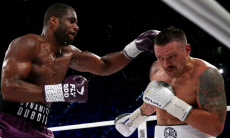 Дюбуа «отдали» победу над Усиком в реванше