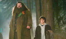 Сериал о Гарри Поттере — HBO показала «нового» Рубеуса Хагрида 