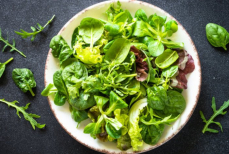 Какие овощи имеют меньше всего сахара — диетолог назвала 12 лучших вариантов