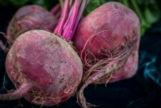 «Моча окрашивается». В каком виде свекла полезнее — объяснил доктор Мясников