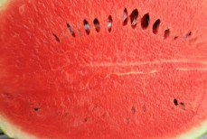 Правда ли, что арбуз растягивает желудок
