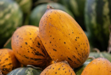 Какие дыни нельзя покупать. Три опасных признака, которые легко проверить на рынке