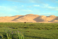 Эта уникальная страна скрывает множество ярких впечатлений — настоящая находка для любителей свободы и природы