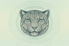 Новый дизайн казахстанского паспорта — что изменится