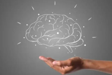 Назван продукт, который неминуемо убивает мозг