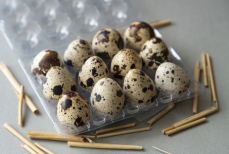 Как правильно варить перепелиные яйца