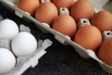 Ученые опровергли миф о вреде яиц для сердца