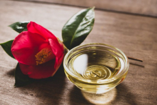 Ученые назвали полезное масло, которым можно заменить оливковое