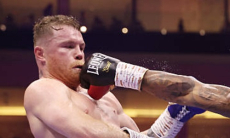 Назван непобежденный нокаутер, который побьет «Канело» Альвареса