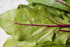 Листья свеклы — суперфуд или отходы? Ответ удивит всех