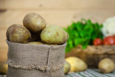 Врачи рассказали, можно ли есть зеленоватый картофель