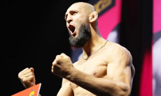 Хамзат Чимаев назвал свою родину