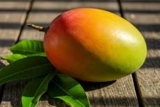 Желтый или зеленый — какое манго полезнее для здоровья?